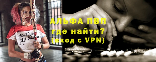 ECSTASY Богородицк