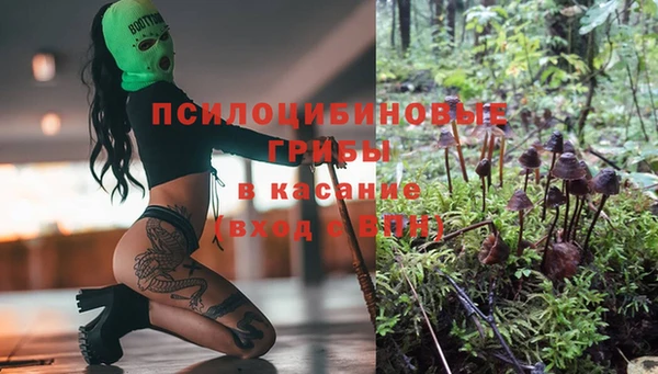 сатива Богданович