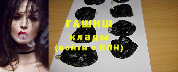 гашик Бородино