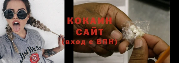 сатива Богданович