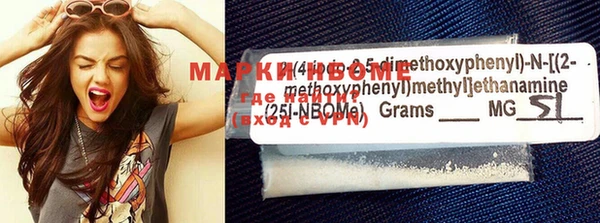 ECSTASY Богородицк