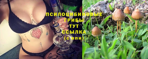 ECSTASY Богородицк