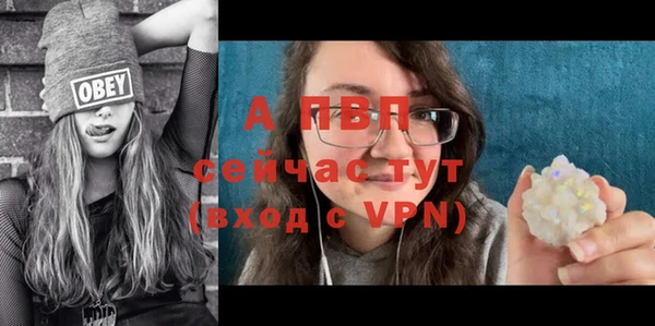 сатива Богданович