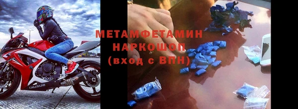 сатива Богданович