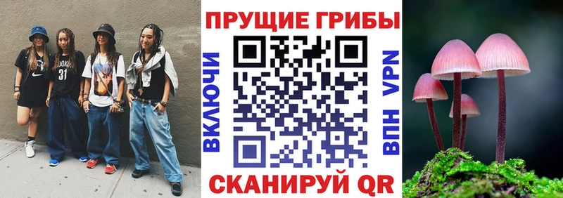 Купить  Каменногорск  Галлюциногенные грибы GOLDEN TEACHER 
