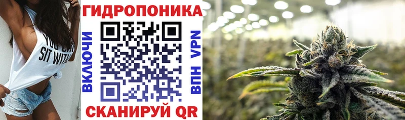 Купить где  Каменногорск  Конопля планчик 